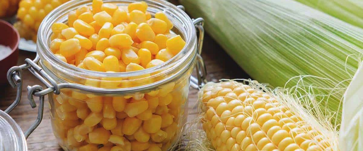 طرز تهیه کنسرو ذرت