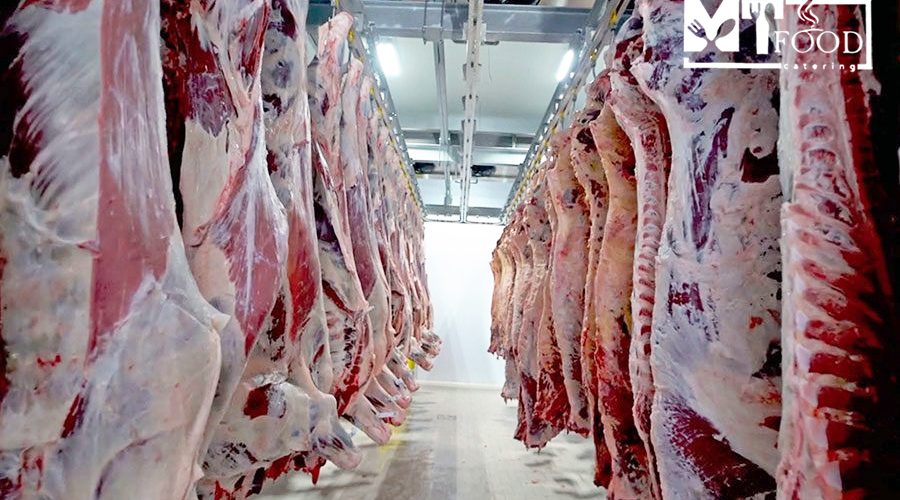 نکات بهداشتی نگهداری گوشت